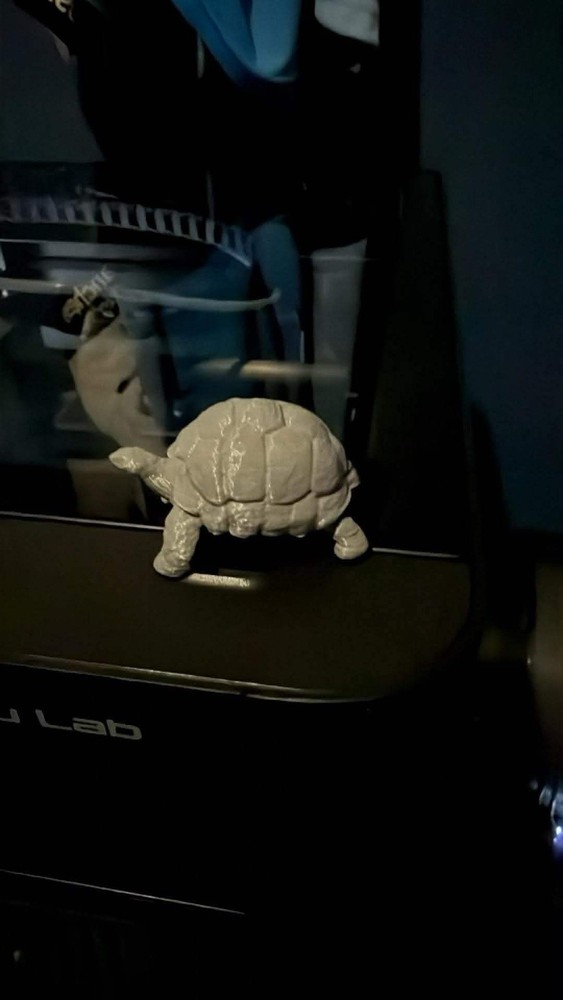 Giant Tortoise 3d Model Plastic