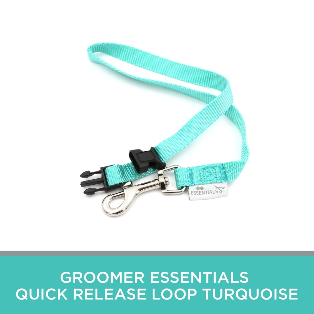 Groomer Essentials Quick Release Loop - Turquoise