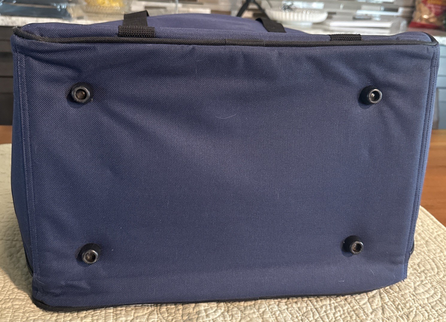 BERNINA Soft Cover Storage / Accessory Carrying Bag - 16" x 12" x 10"