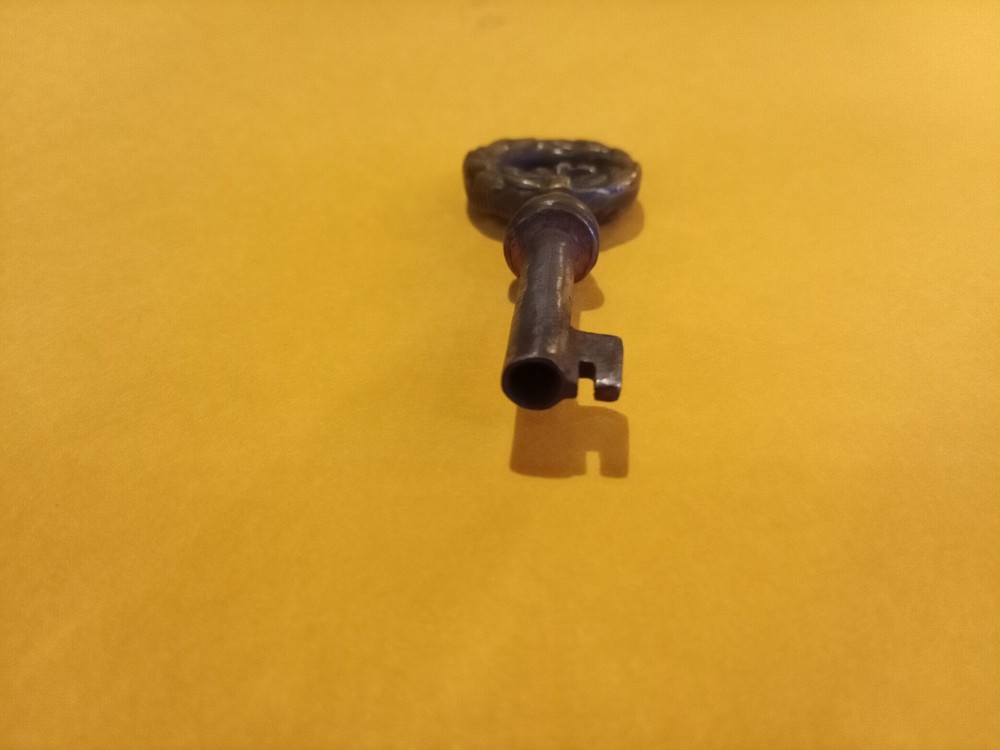 Vintage Bronze Skeleton Key