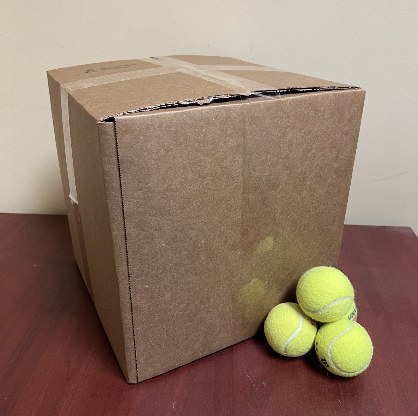 100 Affordable Dog Balls - Free Shipping Included!