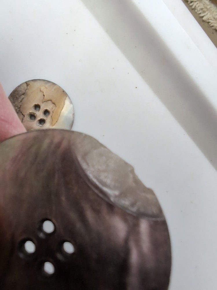 (10) Ablone Shell Buttons