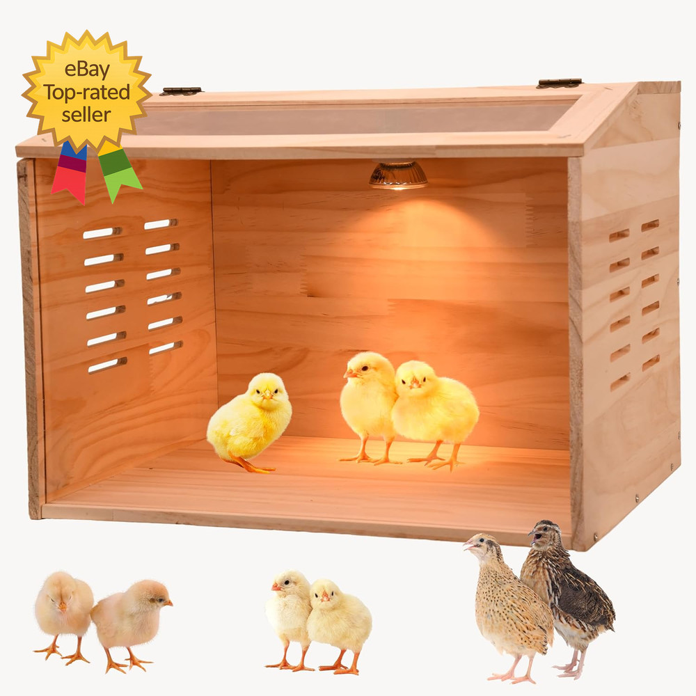 Brooder Box for Chicks, Chicken Brooder Box Chicken Heater Poultry Brooder with