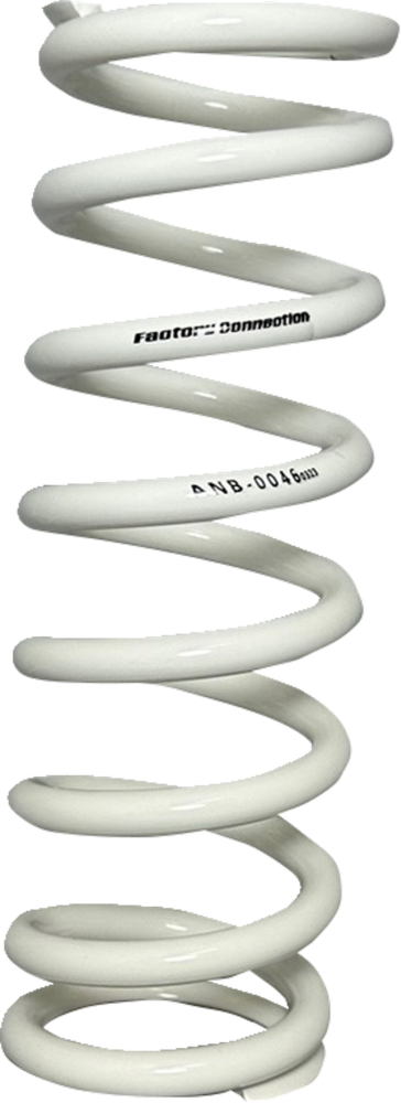 Factory Connection Shock Springs ANB-0046