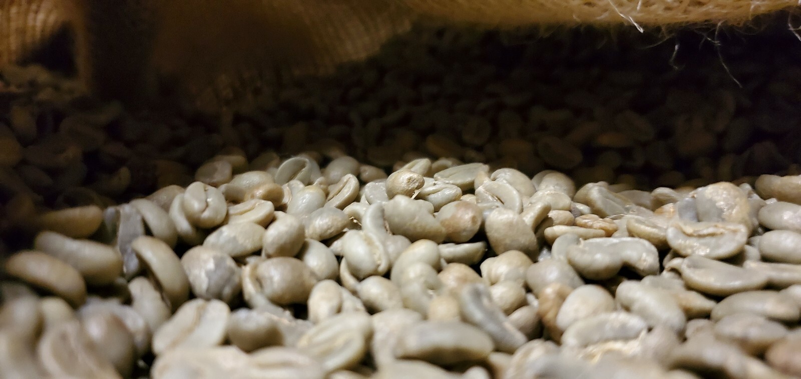 5 LBS PAPUA NEW GUINEA UNROASTED GREEN COFFEE BEANS - ARABICA