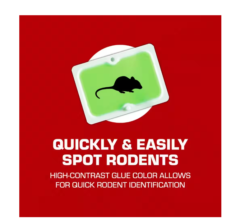 Tomcat Super Hold Glue Traps Mouse Size, Contains 4 Traps - Captures Mice..