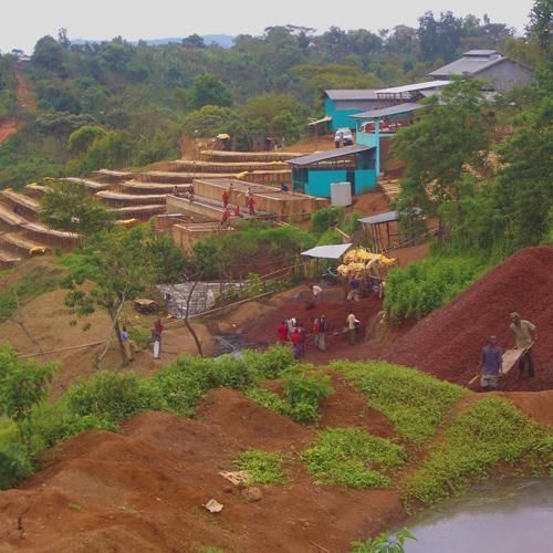 ETHIOPIAN YIRGACHEFFE COFFEE BEANS MEDIUM ROASTED 5 POUNDS