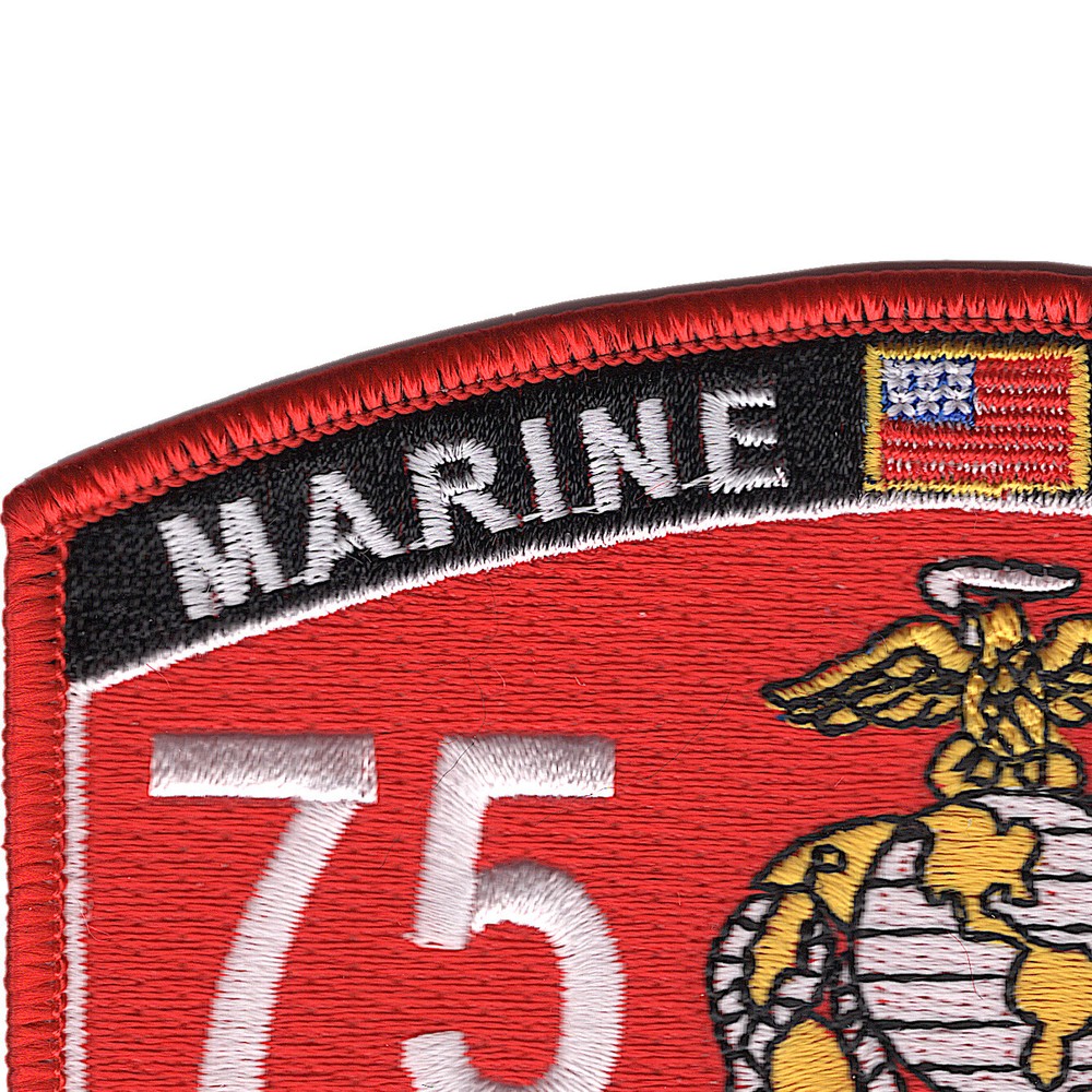 7598 Fixed Wing Pilot MOS Patch