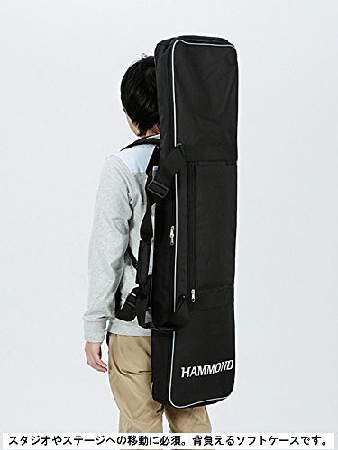 Hammond Sk2 Gig Bag