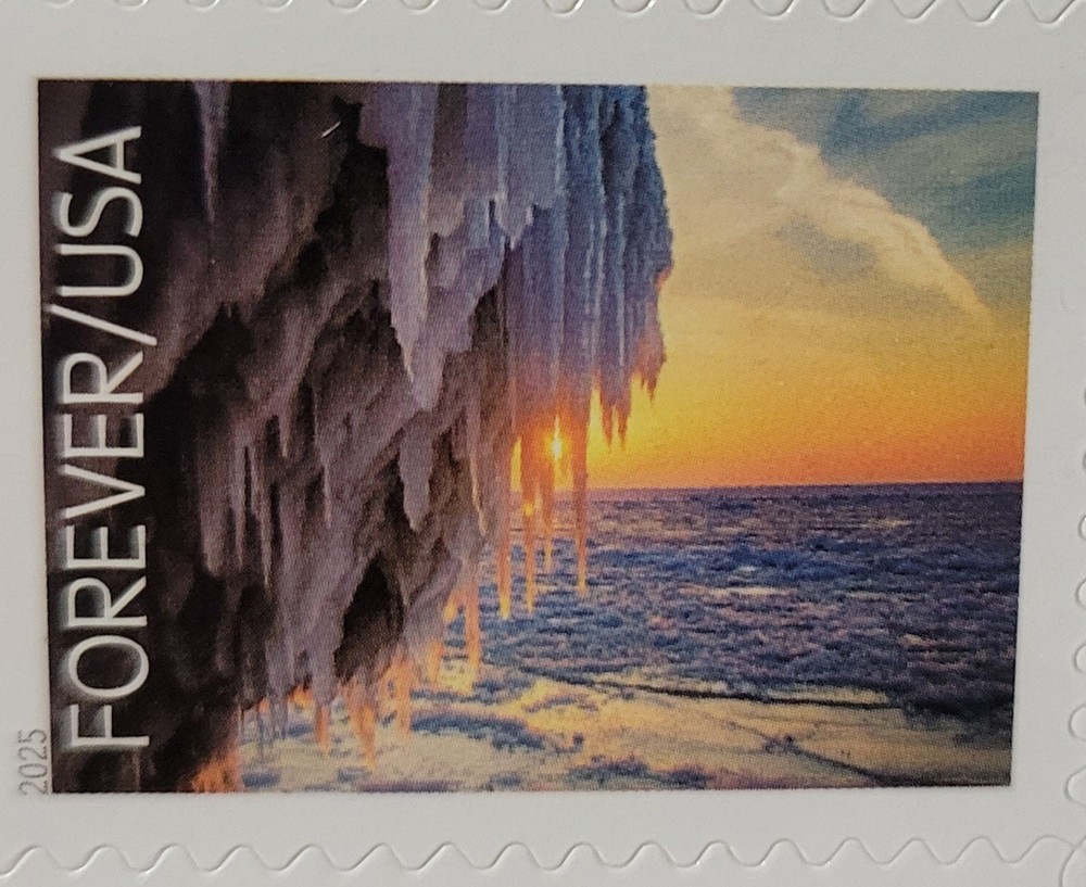 20 FOREVER FIRST CLASS LETTER STAMPS MNH BOOK