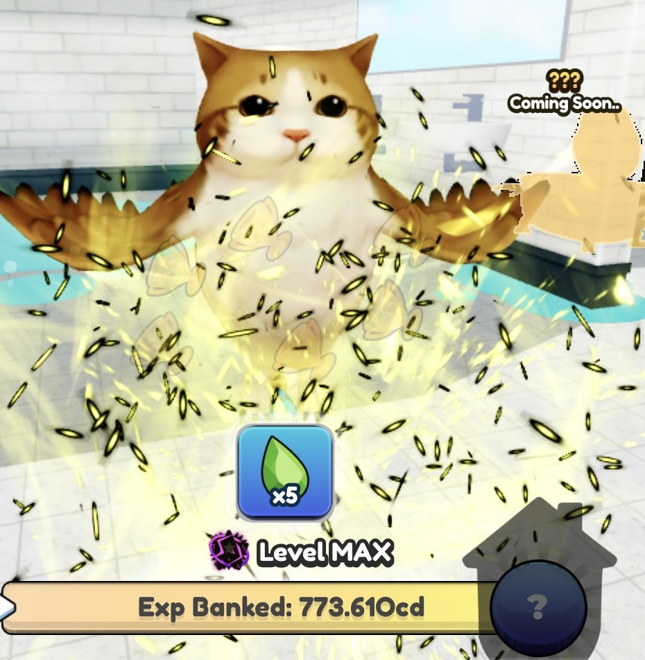 Brainrot Evolution | Rare Meowl - 50Qa Damage 380% Brainrot