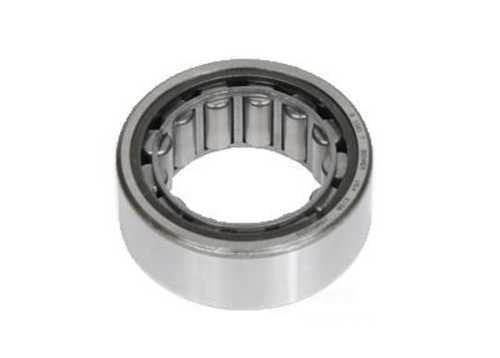 Differential Pinion Pilot Bearing