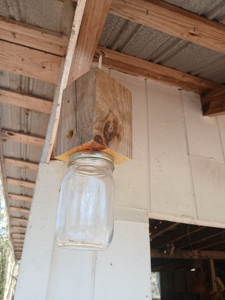carpenter bee traps Handcrafted