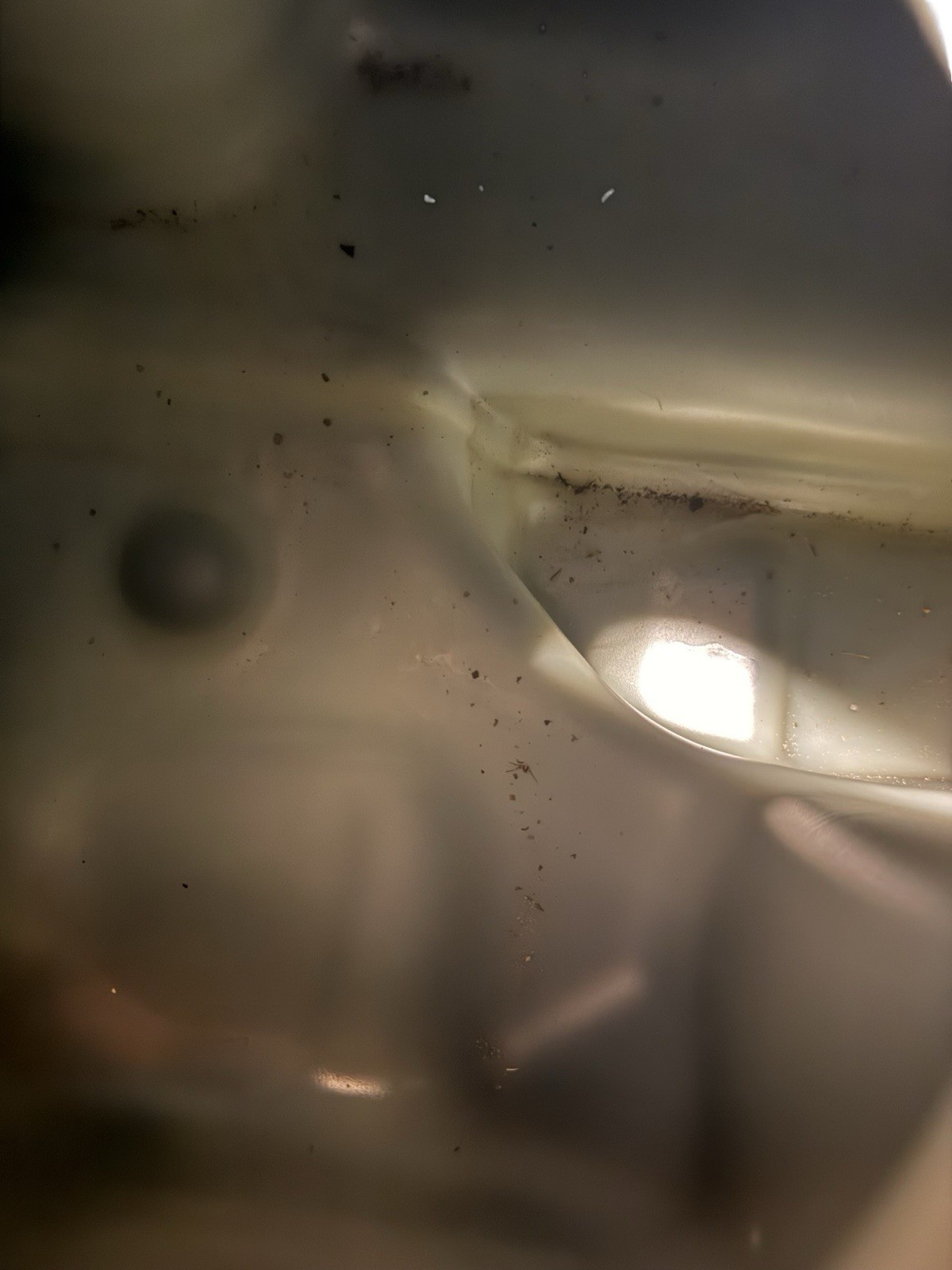 2009 Can-Am Outlander 400 OEM Fuel Tank Assembly 70900220