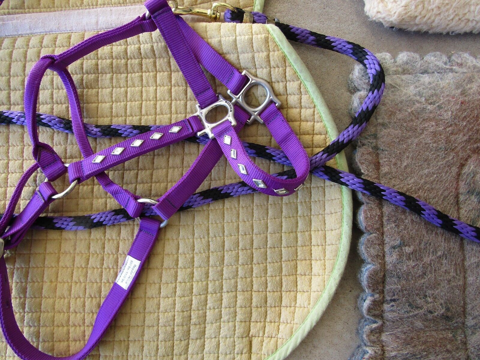 Horse riding and care equipment large lot !