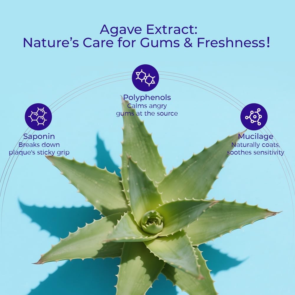 OCCOTAPS Agave Sensitive Toothpaste Fluoride-Free Whitening 2 Pack US Made