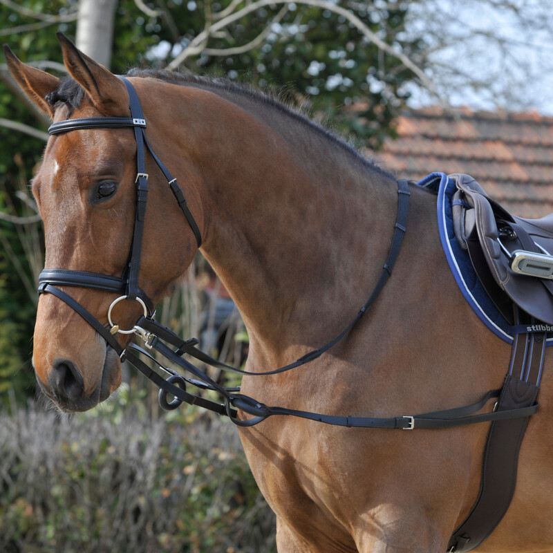 FIXED LEATHER TRAINING NETWORKS WITH RUBBER CUSHIONING RING