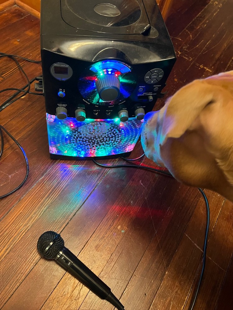 The Singing Machine SML385 Karaoke System - Black