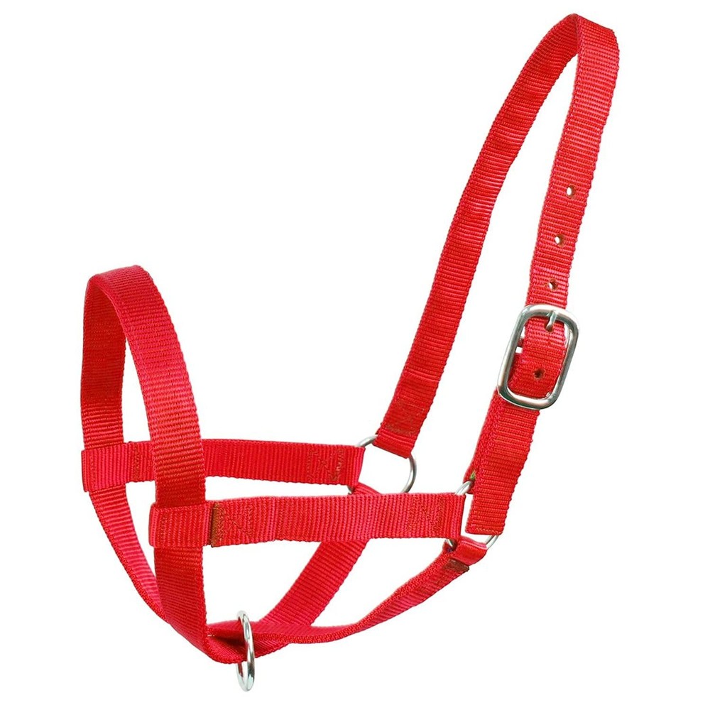 Adjustable Nylon Cattle Halters for Livestock Medium Size, Red