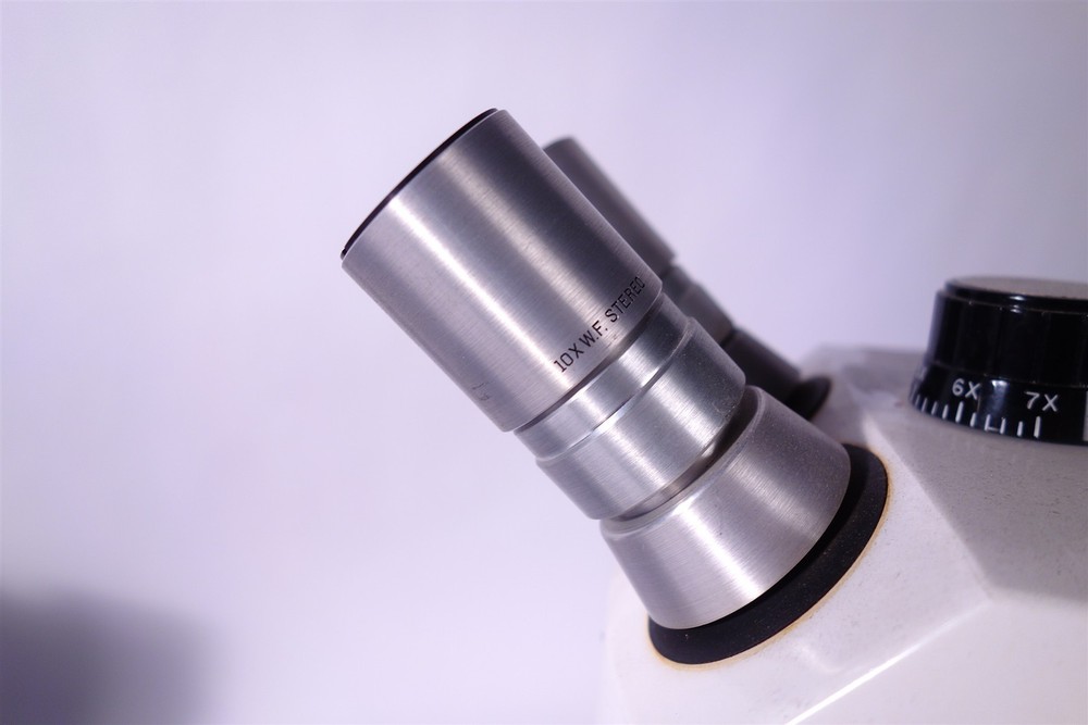 Bausch & Lomb Stereo Zoom 7 Microscope with External Light Source