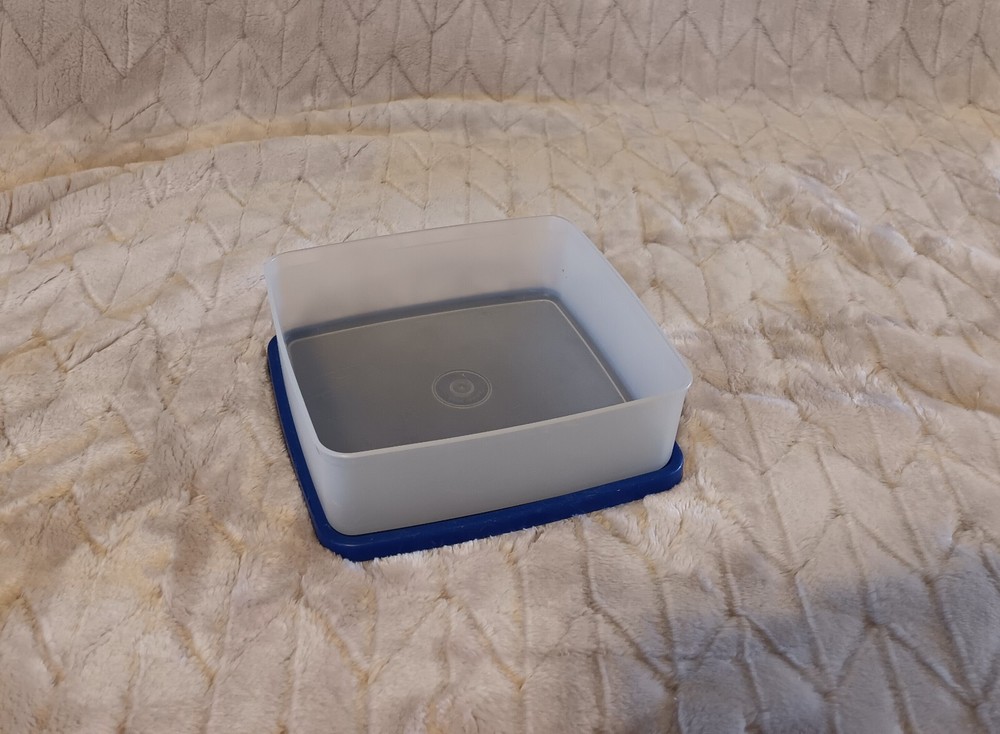 Tupperware Snowflake Tumbler and Sandwich Container Set