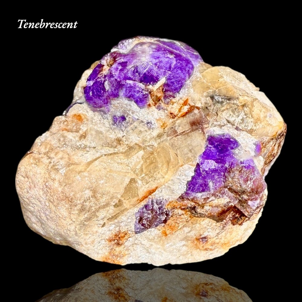 99 Gr. Fluorescent Sharp Tenebrescent Hackmanite Crystal with Winchite On Matrix