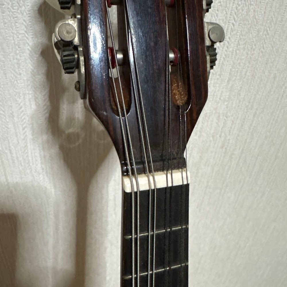 Raffaele Terada Musical Instruments High End Mandolin RM-3 String Used From JPN