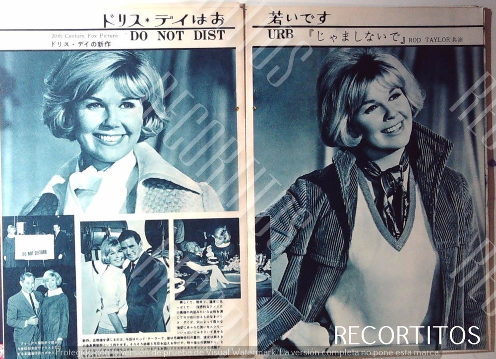 clippings DORIS DAY