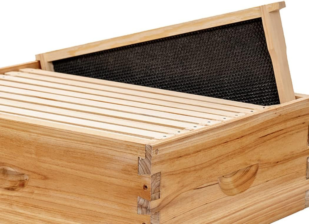 Medium Super Beehive Frames with Wax Foundations,10 Pack Honey Bee Frames wit...