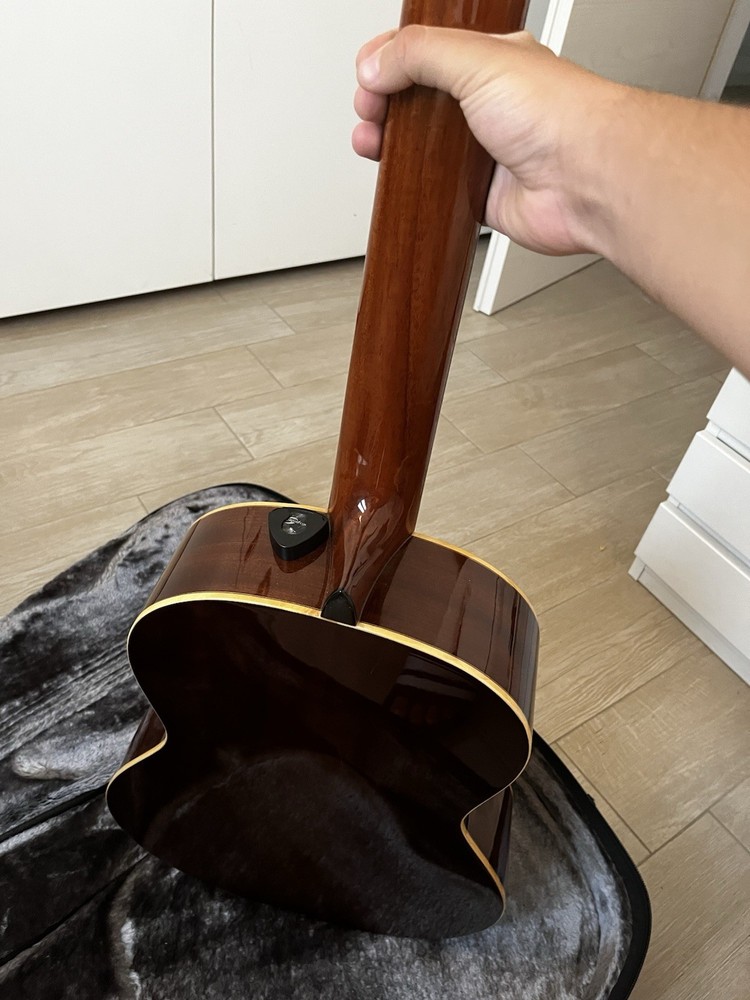 Altamira N100 Guitar
