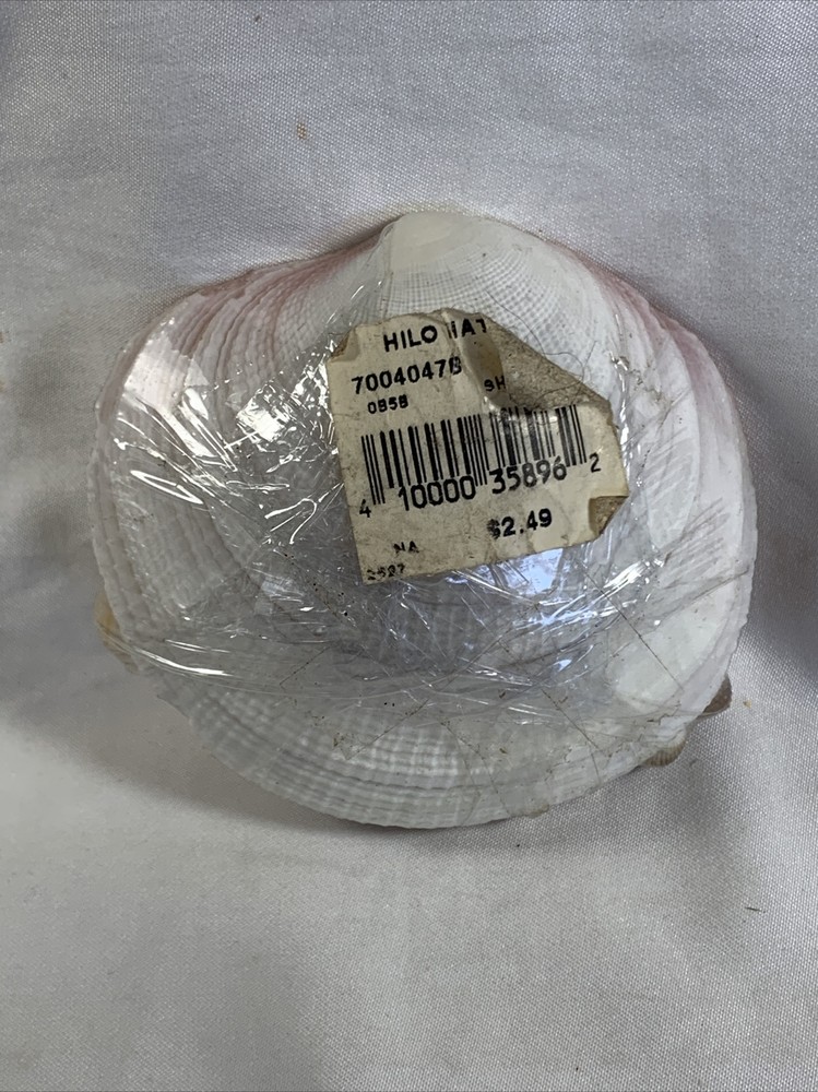 Hilo Hatttie Shell Tooth Picks