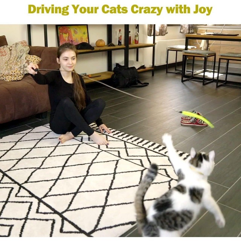 Interactive Cat Toys Retractable Wand Toy and Feather Toy Refills for Indoor Cat