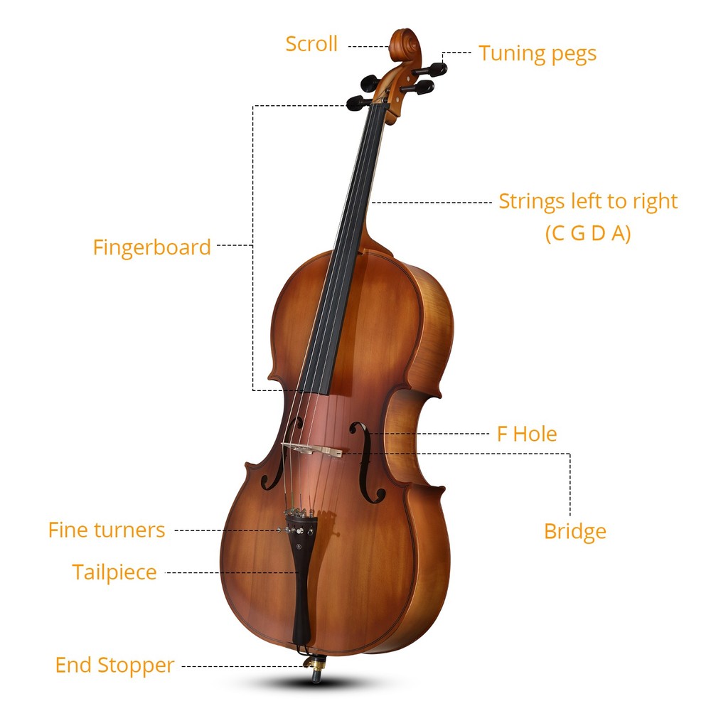 Full Side 4/4 Matte Spruce Panel Cello for Beginner with Bag Bow Rosin Bridge