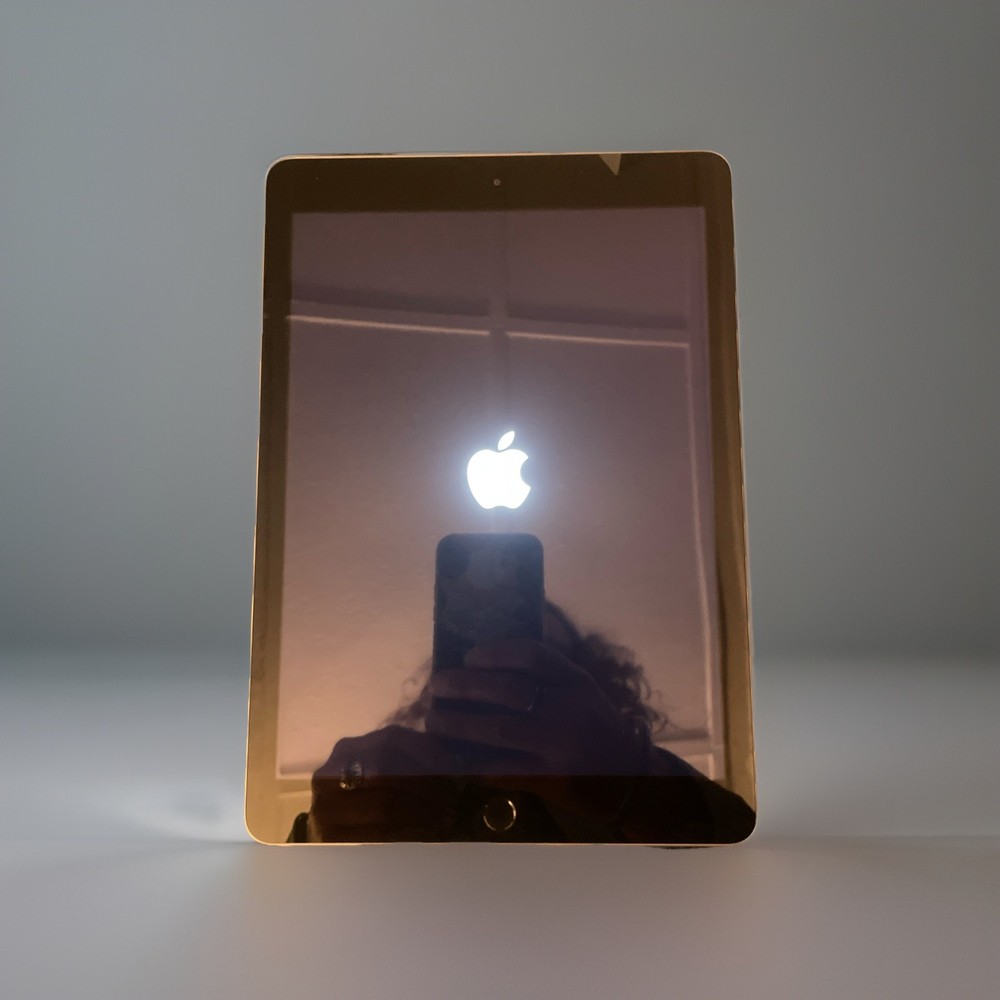 Apple - Certified Fully functional iPad (5th Generation) (2017) Wi-Fi -32GB Gray