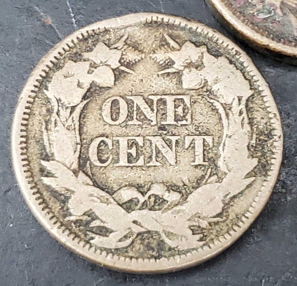9 Mixed Flying Eagle & Indian Cent Collection
