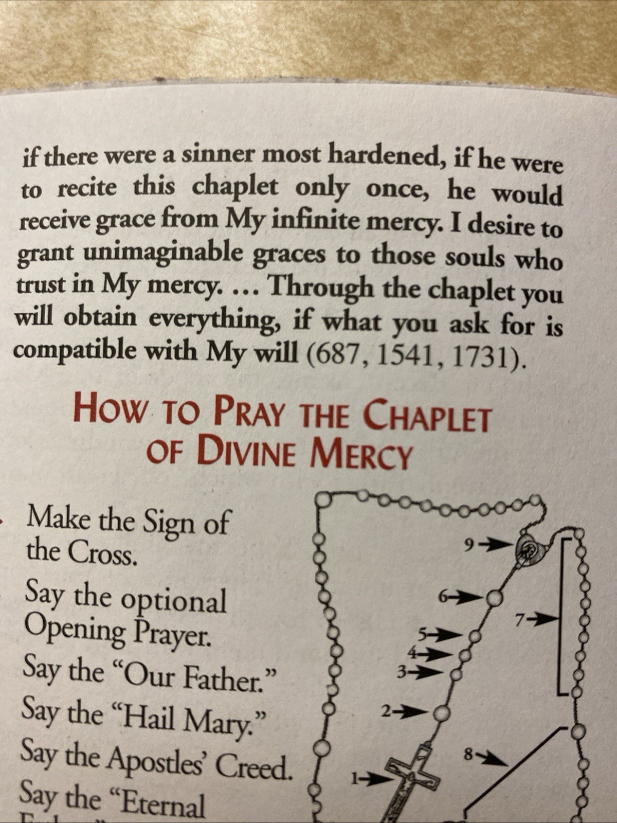 Divine Mercy Chaplet And Novena