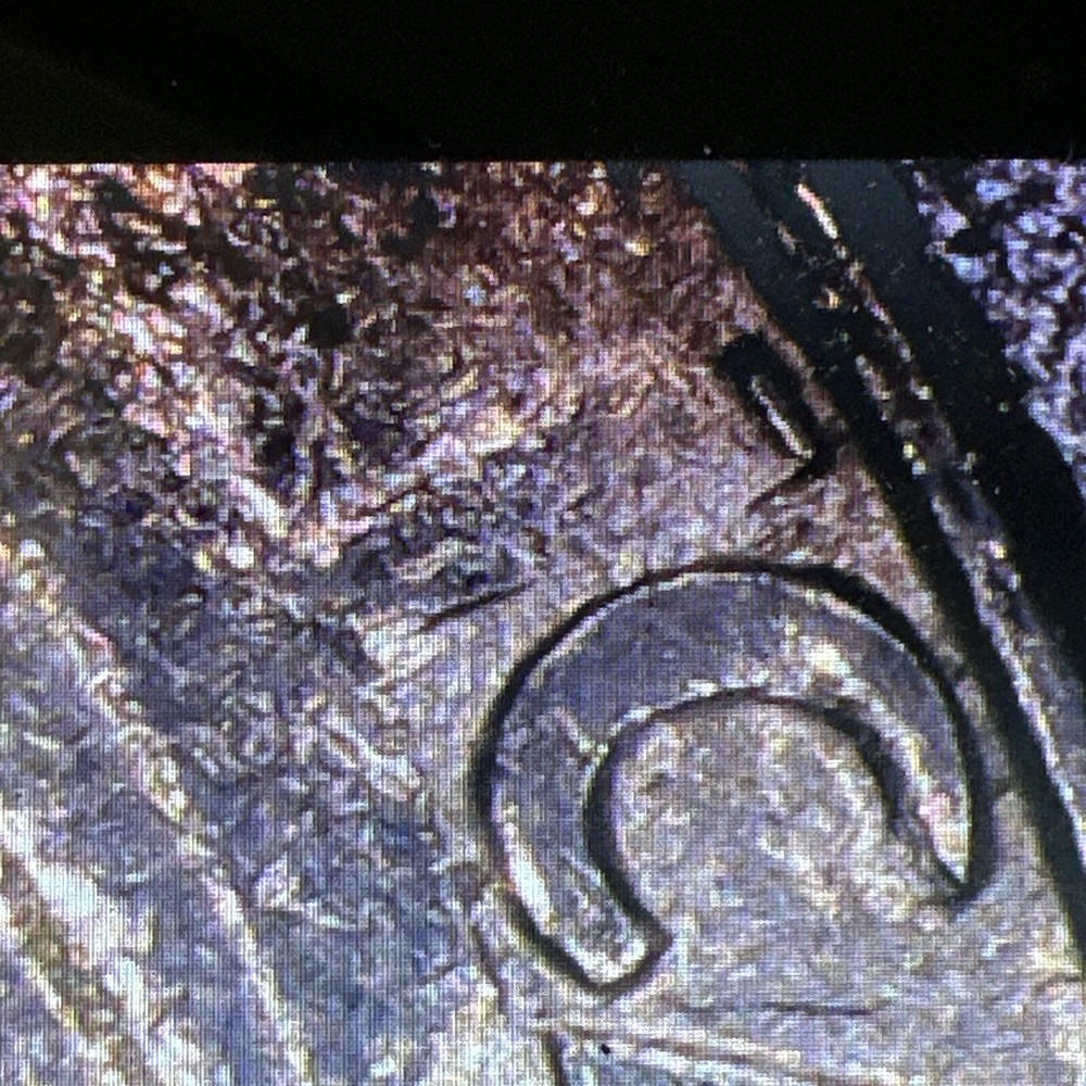 1974 WASHINGTON QUARTER- STRUCK THROUGH GREASE ERROR REVERSE