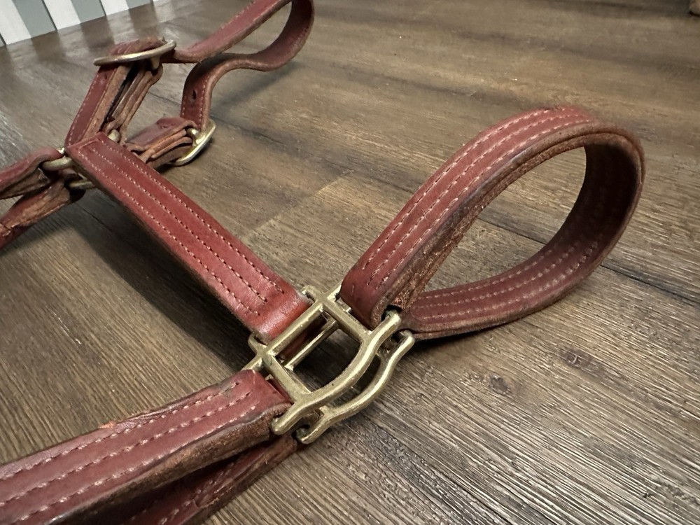 Horse Tack - Leather Track Halter