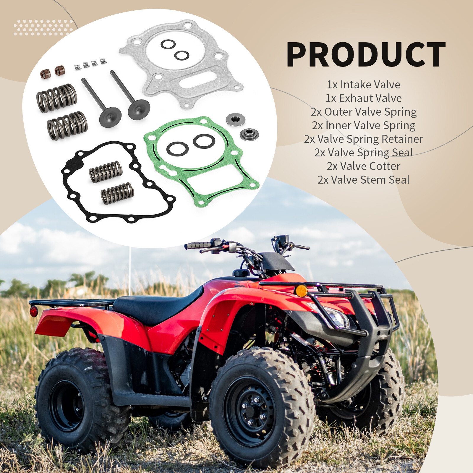 Intake Exhuast Valve Seal Spring Kit for Honda Recon 250 TRX250 TE TM 2002-2023