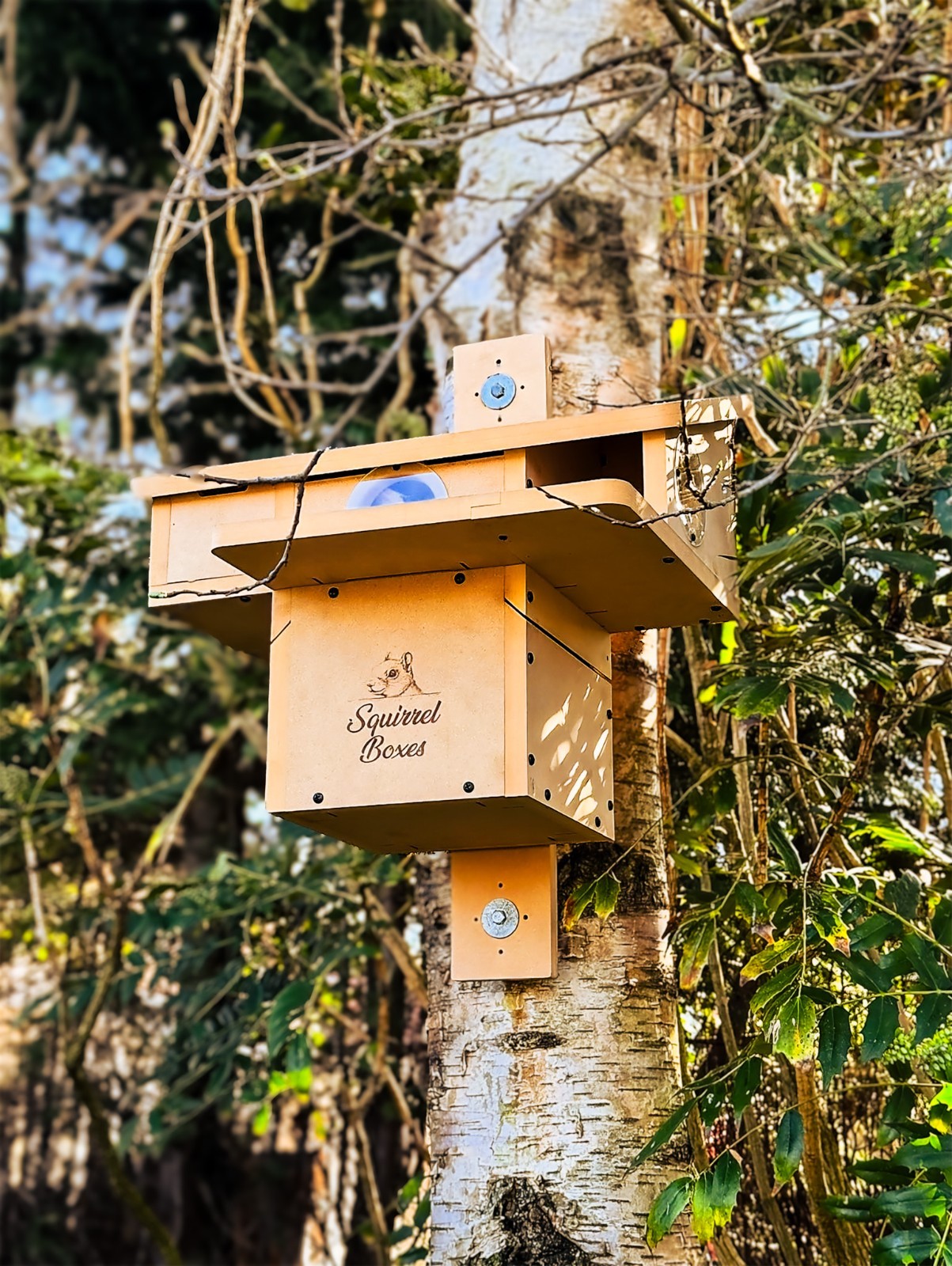 Squirrel Nesting Box