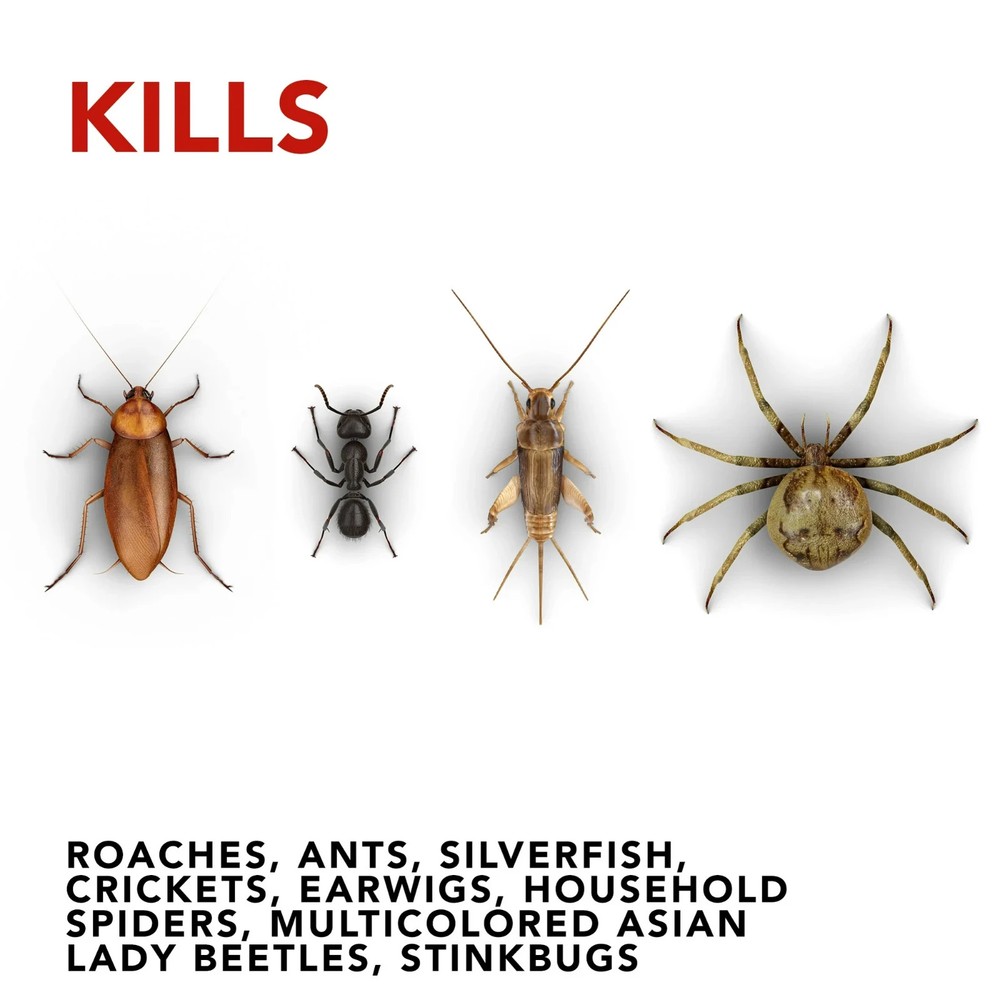 Raid Ant & Roach Killer Spray for bugs, Keeps Killing for Weeks, Lemon Scent