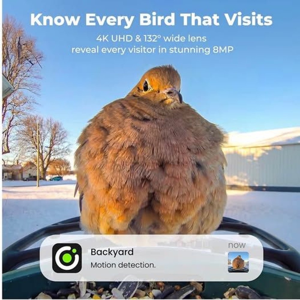 Kiwibit Solar Smart Bird Feeder with Camera
