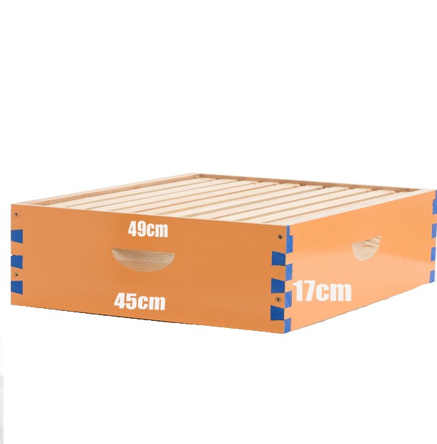 1 Layer Beehive Super Box Wax Langstroth Deep House + 10 Frames Beekeeping