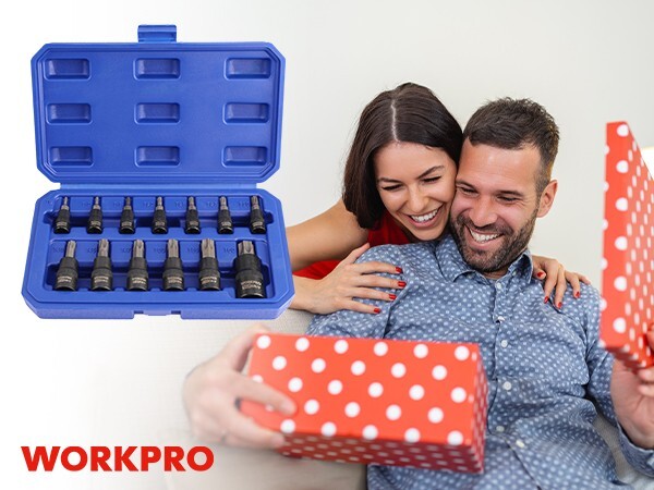 WORKPRO 13PC Torx Bit Socket Set 1/4" 3/8" 1/2" Drive T8-T60 Torx Bit Socket Set