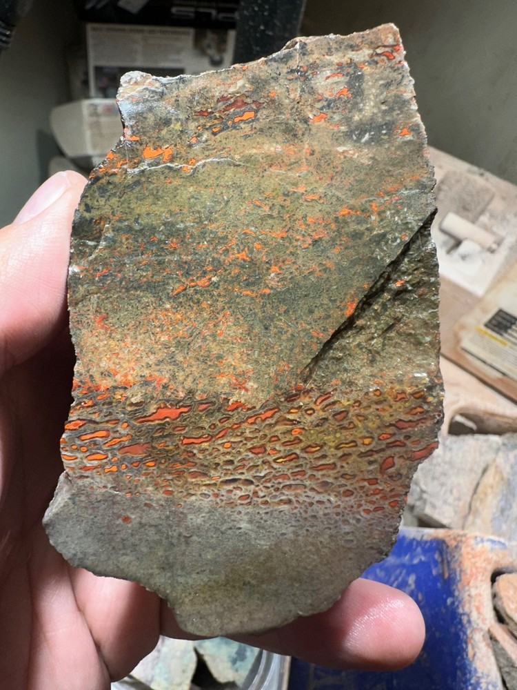 Dinosaur bone rough chunk. (344.7 grams)
