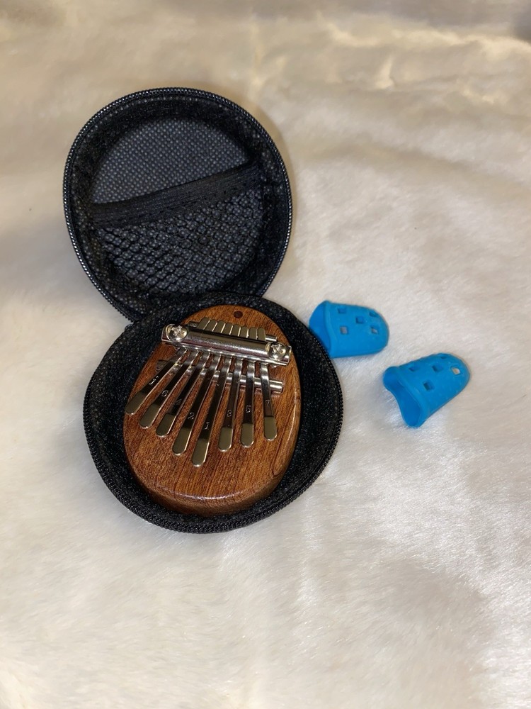 Thumb Piano and Case