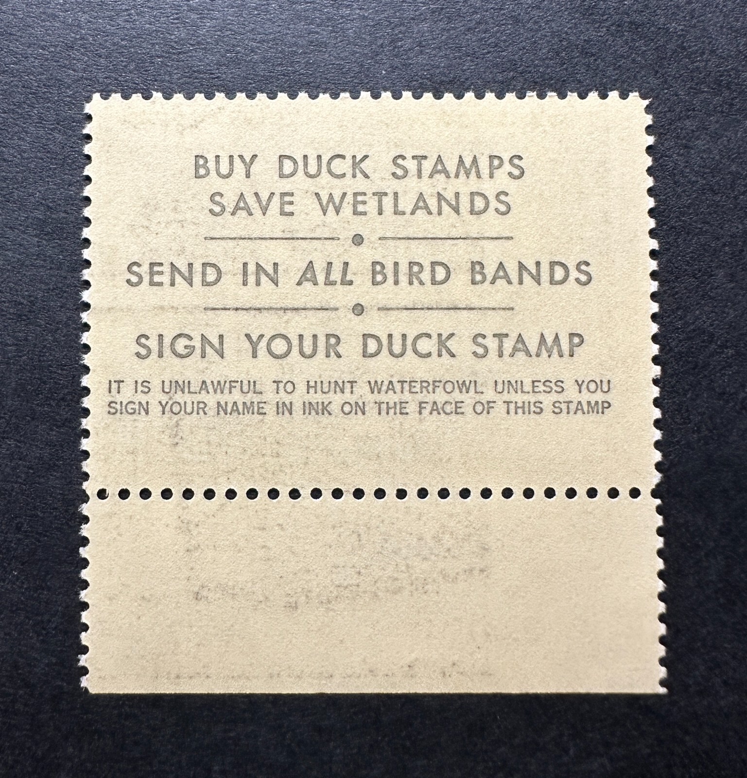 WTDstamps - #RW51 1984 - US Federal Duck Stamp - Mint OG NH