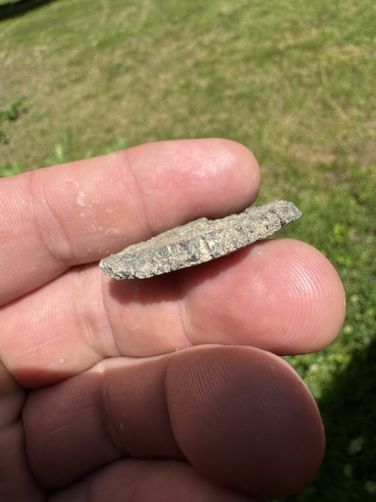 Awesome Trilobite Fossil