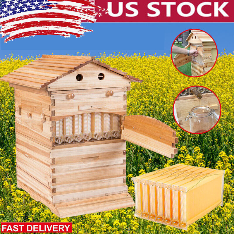 Beehive 7 Frames Complete Box Kit Bee Hives Auto Bee Frames + Beekeeping House