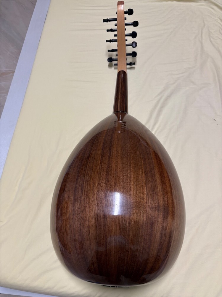Professional oud instrument